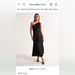 Abercrombie & Fitch Giselle pleated one shoulder maxi dress